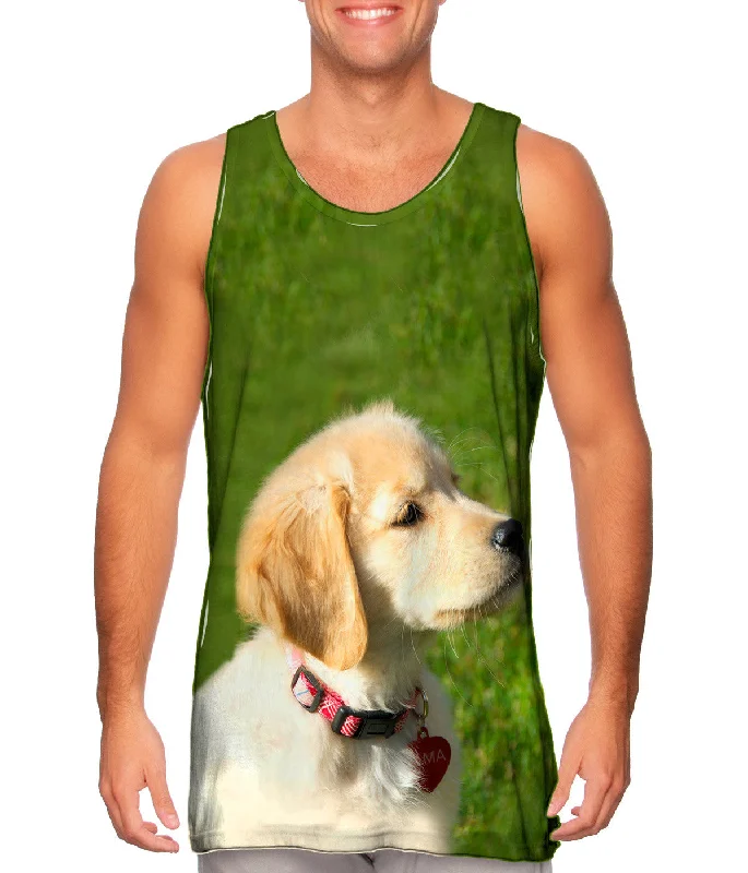 Boutique Recommendation Dreamy Yellow Labrador Puppy