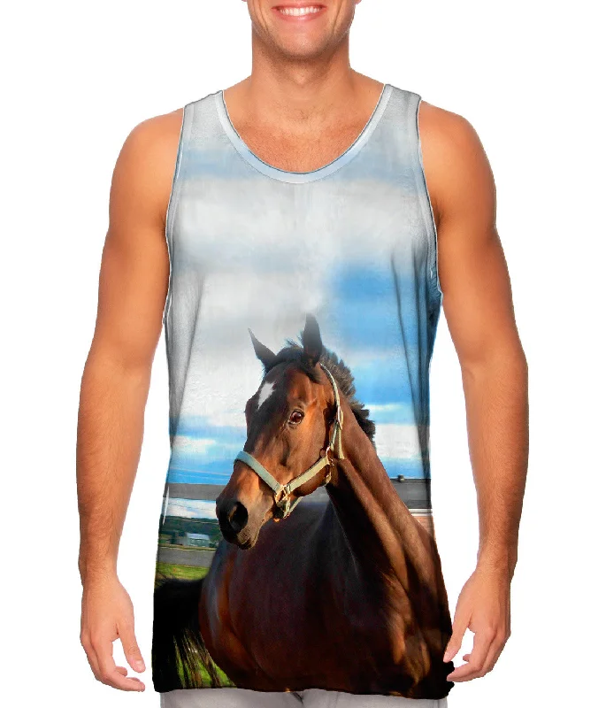 Creative Prints Eager Horse
