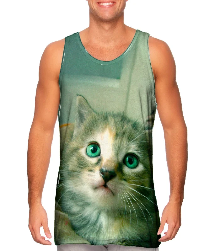 Luxury Fashion Door Way Kitten