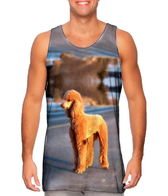 Elegant Wear Dusty Poodle