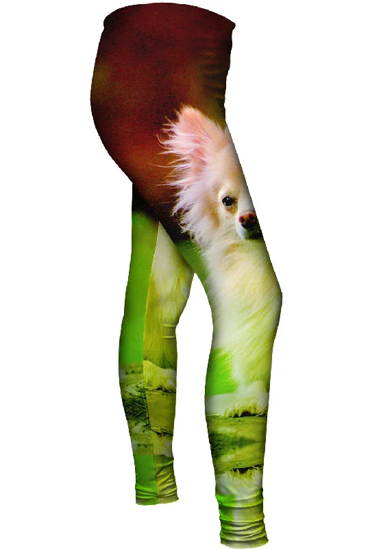 Fashion Must-have Pomeranian Puppy