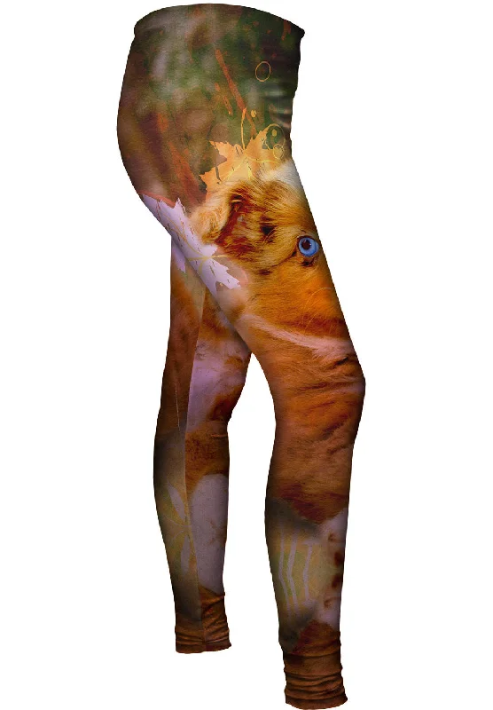 Avant-garde Design Australian Shepherd Puppy