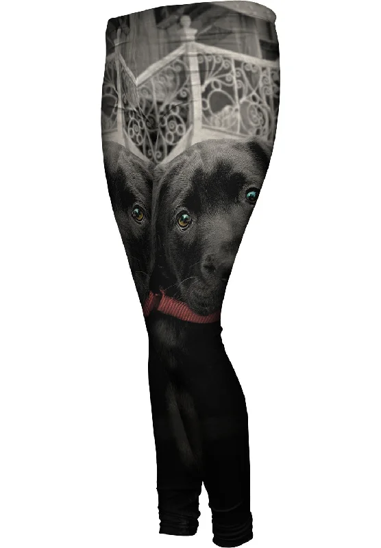 Fashionable Items Black Lab Puppy