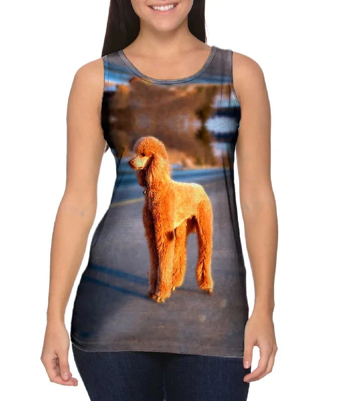 Multifunctional Style Dusty Poodle