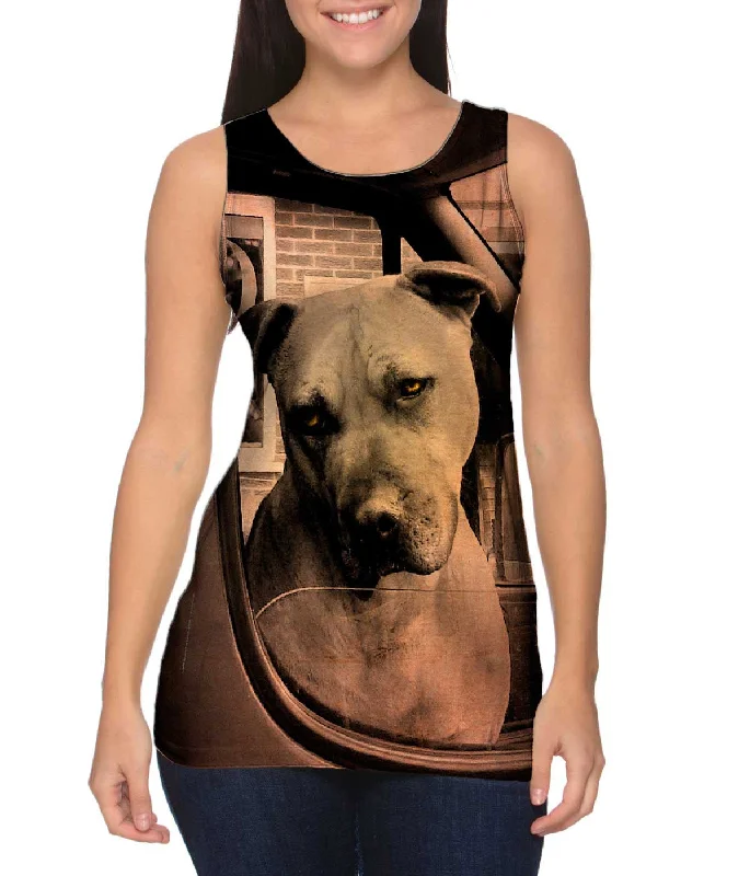 Personalized Design Driving Boxer Dog