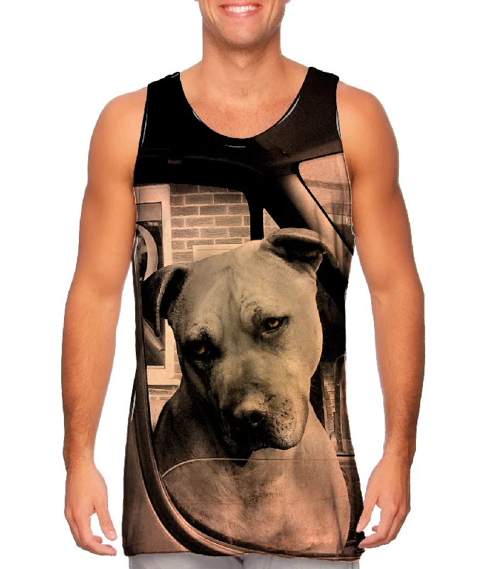 Sports Fashion Driving Boxer Dog