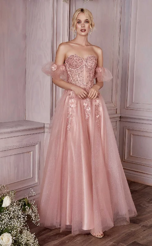 Exquisite Details Cinderella Divine CD0191 Dress